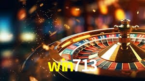 Security Systems win713